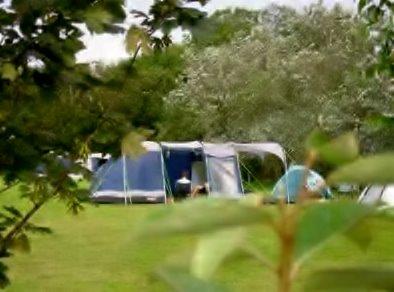 location emplacement tente camping Vendée